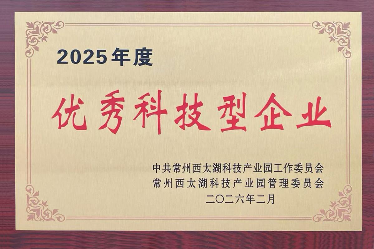 2025 Outstanding Technology Enterprise